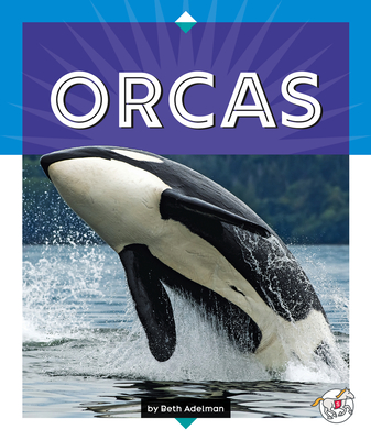 Orcas - Adelman, Beth