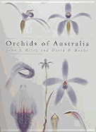 Orchids of Australia