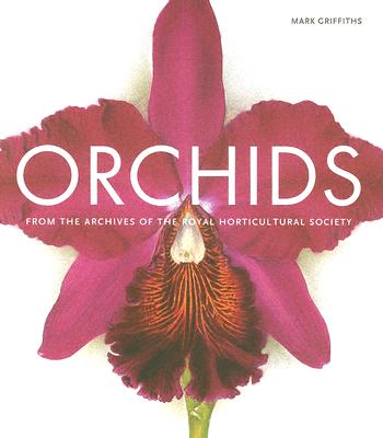 Orchids - Griffiths, Mark