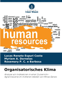 Organisatorisches Klima