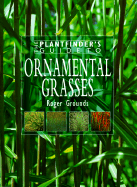 Ornamental Grasses - Grounds, Roger