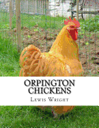 Orpington Chickens: From The Book of Poultry