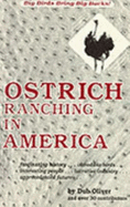 Ostrich Ranching in America: Big Birds Bring Big Bucks!