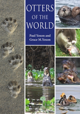 Otters of the World - Yoxon, Paul, and Yoxon, Grace