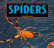 Outside and Inside Spiders