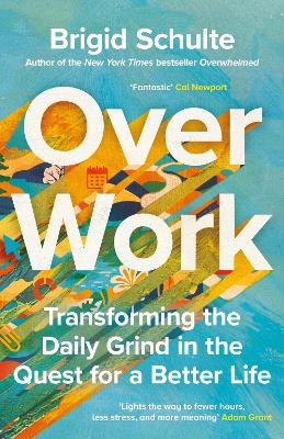 Over Work: Transforming the daily grind in the quest for a better life - Schulte, Brigid