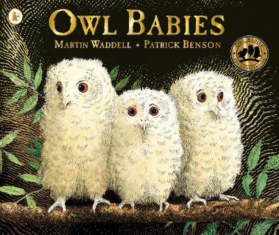 Owl Babies - Waddell, Martin