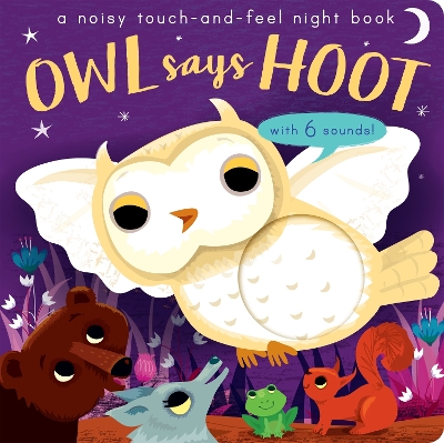 Owl Says Hoot: A Noisy Touch-and-Feel Night Book - Enright, Amanda (Illustrator), and Walden, Libby (Text by)