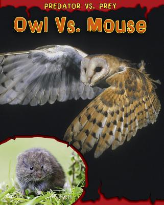 Owl vs. Mouse - Meinking, Mary
