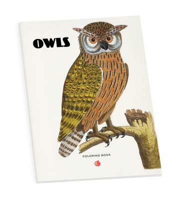 Owls Coloring Book - Pomegranate Communications, Inc (Creator)