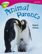 Oxford Reading Tree: Level 10A: Treetops More Non-Fiction: Animal Parents