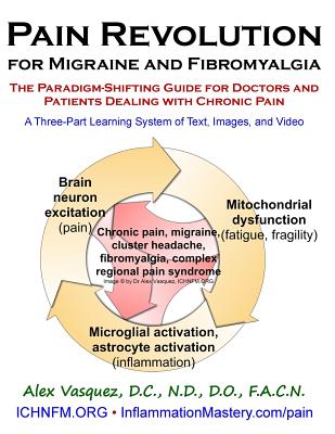 Pain Revolution for Migraine and Fibromyalgia: The Paradigm-Shifting Guide for Doctors and Patients Dealing with Chronic Pain - Vasquez, Alex, Dr.