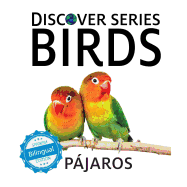 Pajaros/ Birds