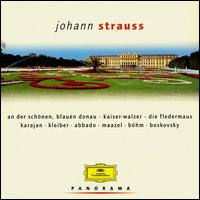 Panorama: Johann Strauss - Benno Kusche (vocals); Bernd Weikl (vocals); Hermann Prey (vocals); Julia Varady (vocals); Karl Swoboda (zither);...