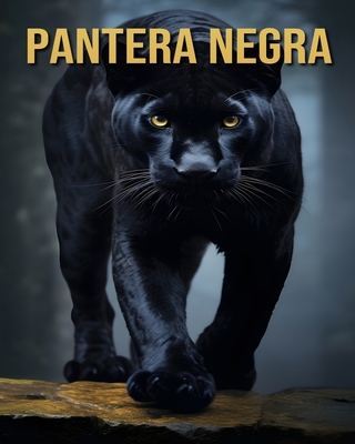 Pantera Negra: Curiosidades Divertidas e Interessantes e Imagens Sobre a Pantera Negra - Orman, Victoria