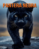 Pantera Negra: Divers?o, Curiosidades e Fotos Sobre a Pantera Negra