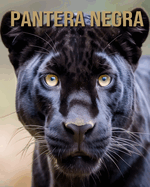 Pantera Negra: O Guia Essencial Sobre Este Animal Surpreendente com Fotos Incrveis