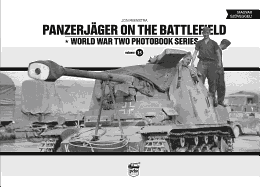 Panzerjager on the Battlefield