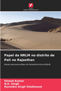 Papel da NRLM no distrito de Pali no Rajasthan