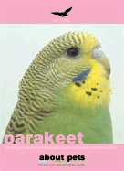 Parakeets