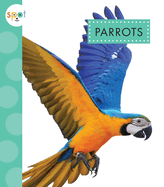 Parrots