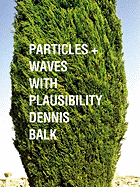 Particles + Waves with Plausibility