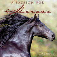 Passion for Horses - Willow Creek Press