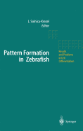 Pattern Formation in Zebrafish