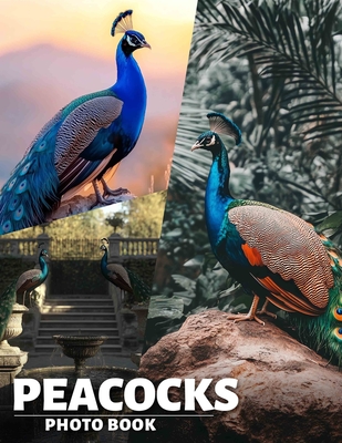 Peacocks Photo Book: Vibrant Displays Of Elegance Captured In 40 Stunning Images For Art Enthusiasts - Valencia, Amna