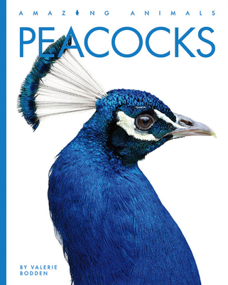 Peacocks - Bodden, Valerie