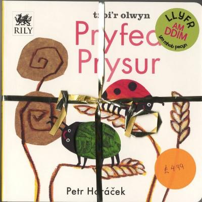 Pecyn Nos Da a Pryfed Prysur - Horacek, Petr, and Roberts, Mared (Translated by)