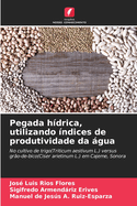 Pegada h?drica, utilizando ?ndices de produtividade da gua