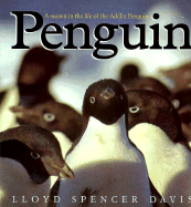 Penguin: A Season in the Life of the Adelie Penguin - Davis, Lloyd Spencer, and Davis, Lloyd S (Photographer)