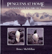 Penguins at Home: Gentoos of Antarctica