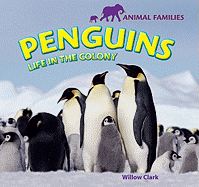 Penguins: Life in the Colony