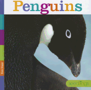 Penguins