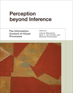 Perception beyond Inference: The Information Content of Visual Processes