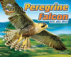 Peregrine Falcon: Dive, Dive, Dive!