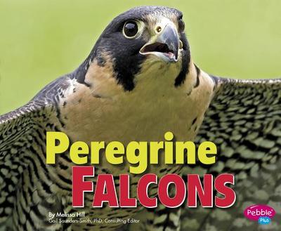 Peregrine Falcons - Saunders-Smith, Gail (Consultant editor), and Hill, Melissa
