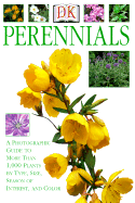 Perennials - Hawthorne, Linden