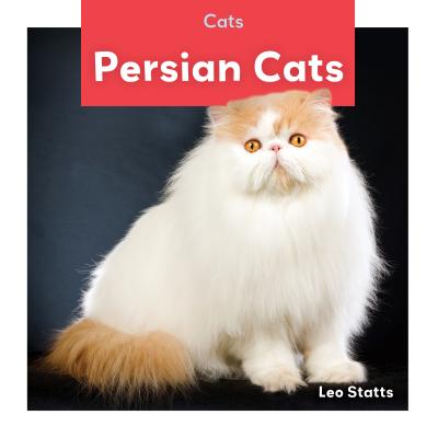 Persian Cats - Statts, Leo