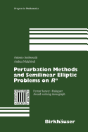 Perturbation Methods and Semilinear Elliptic Problems on R Degreesn