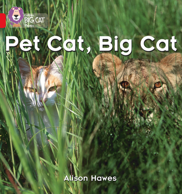 Pet Cat, Big Cat: Band 02a/Red a - Hawes, Alison, and Collins Big Cat (Prepared for publication by)