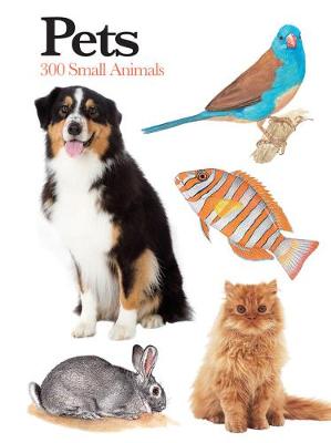 Pets: 300 Small Animals - Martin, Claudia