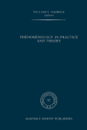 Phenomenology in Practice and Theory: Essays for Herbert Spiegelberg