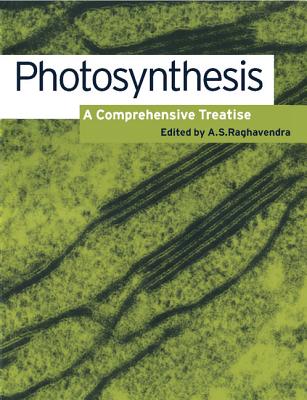 Photosynthesis: A Comprehensive Treatise - Raghavendra, A S (Editor)