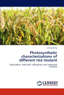 Photosynthetic Characterizations of Different Rice Mutant