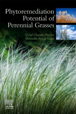 Phytoremediation Potential of Perennial Grasses - Singh, D.P., and Pandey, Vimal Chandra