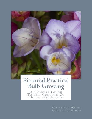 Pictorial Practical Bulb Growing: A Concise Guide To the Culture Of Bulbs and Tubers - Wright, Horace J, and Chambers, Roger (Introduction by), and Wright, Walter Page