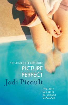 Picture Perfect - Picoult, Jodi